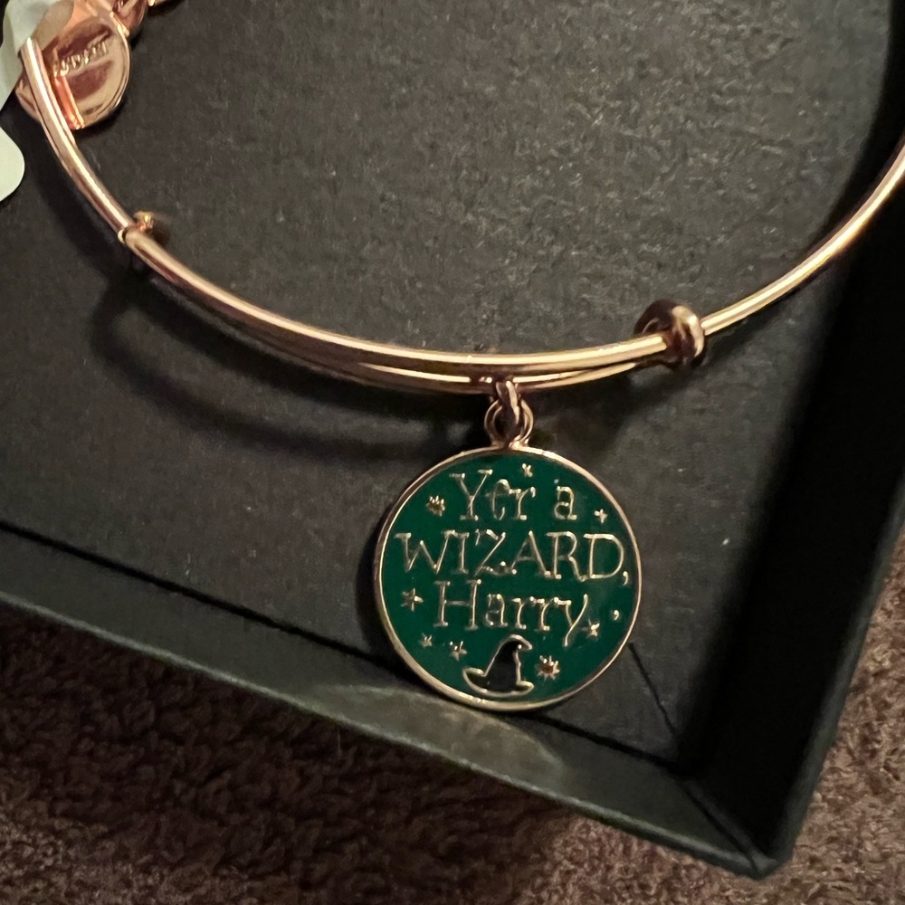 NWT Harry Potter Alex and Ani Bracelet